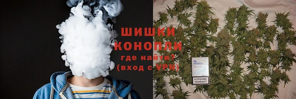 мяу мяу мука Горно-Алтайск