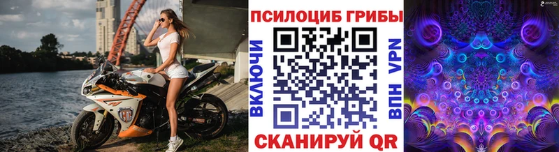 цена наркотик Олёкминск Галлюциногенные грибы Psilocybe